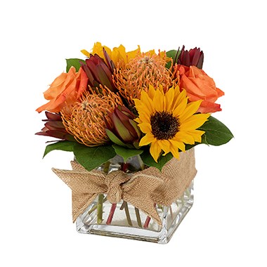 Nature's Bounty - Fall (BF349-11K)